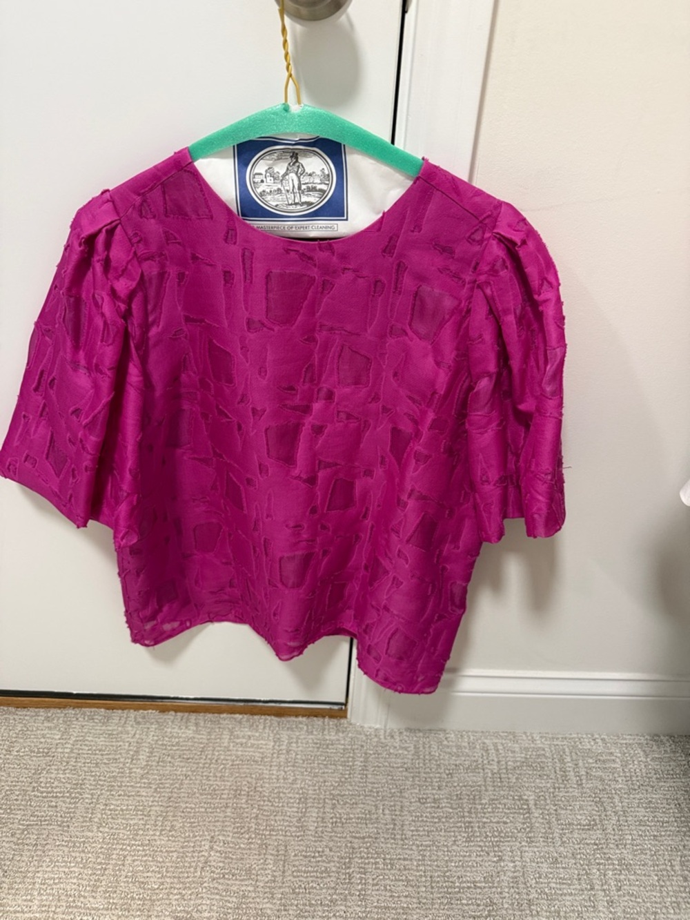 Marie Oliver Fuchsia Textured Short-Sleeve Blouse